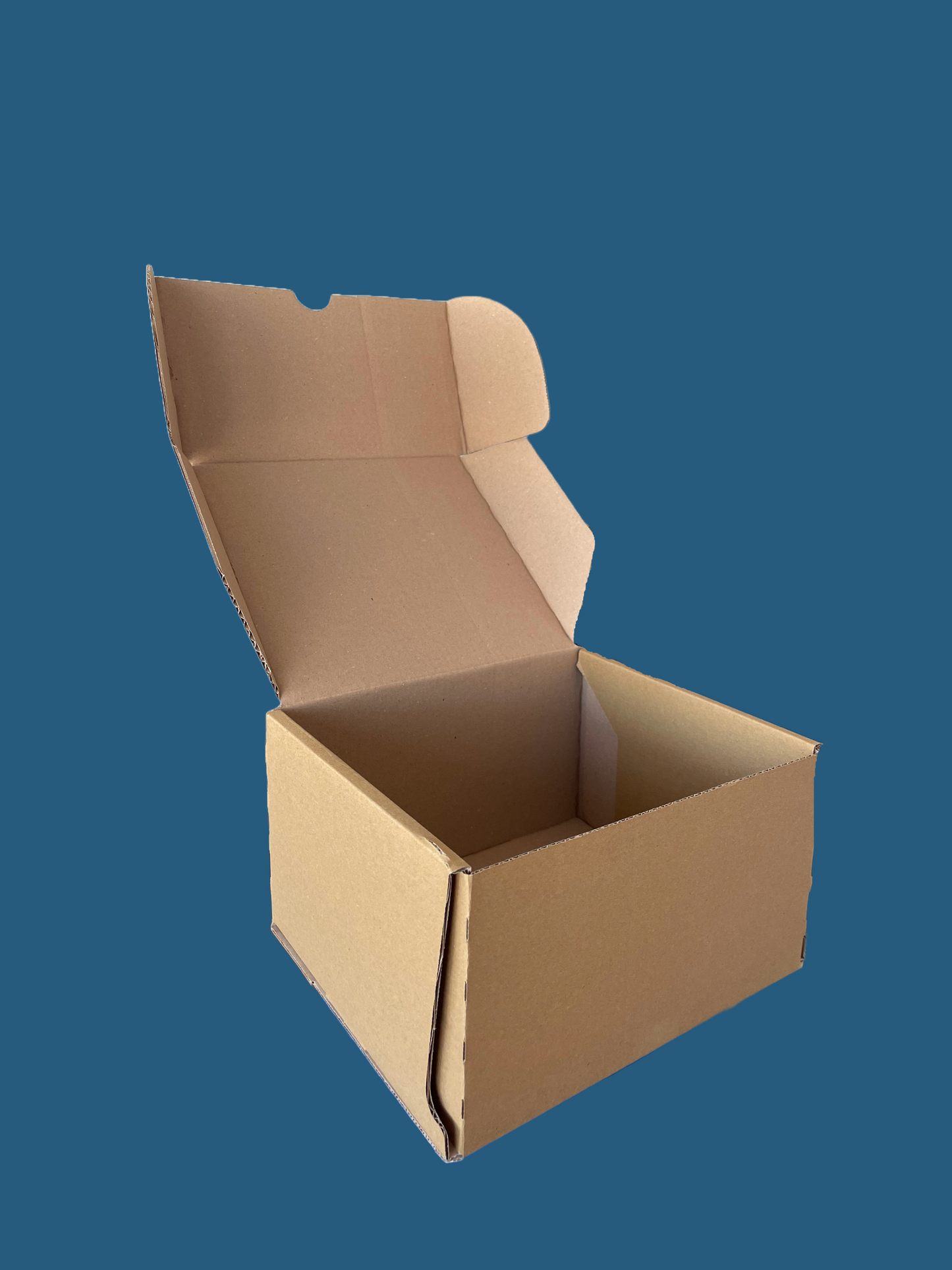 Lot de 50 Eliboxe L